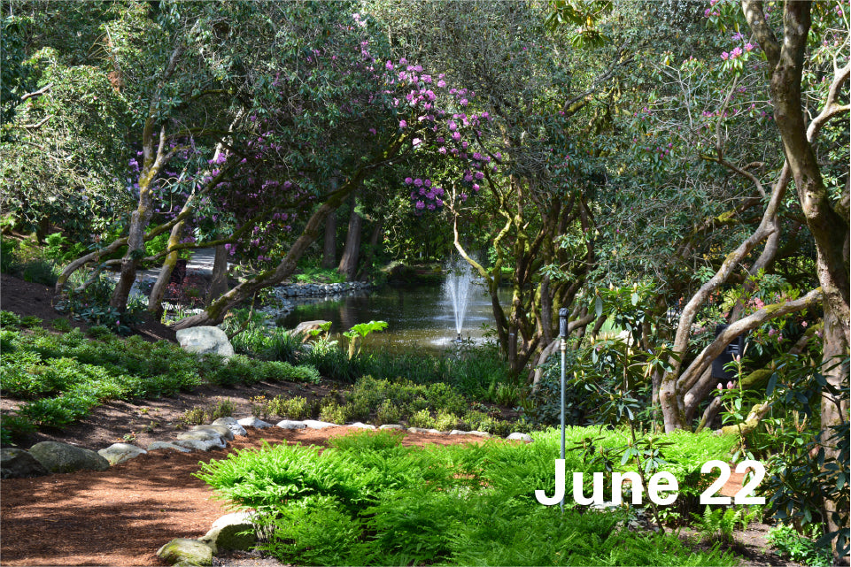 June 22
