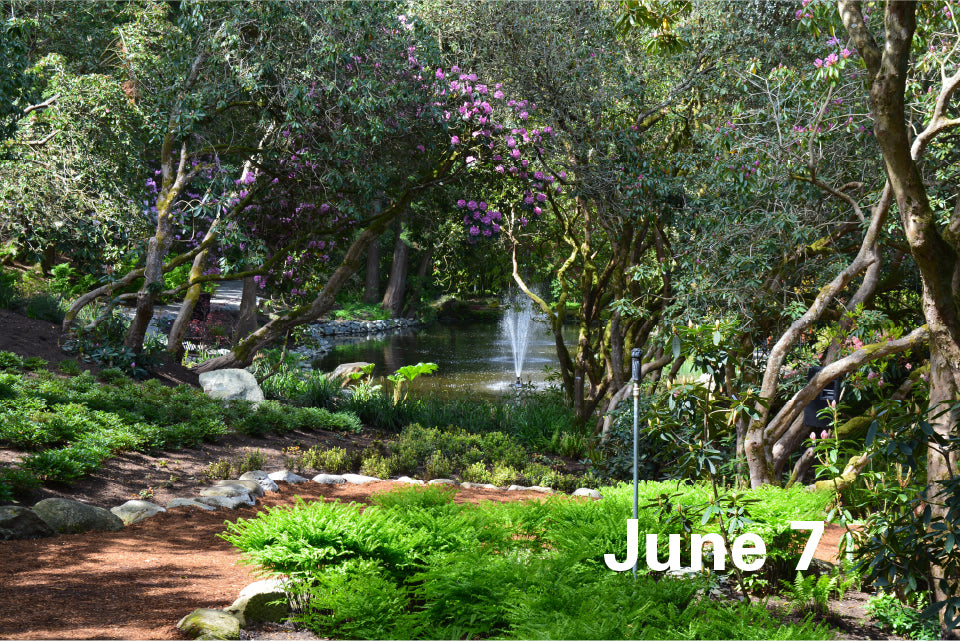 June 7