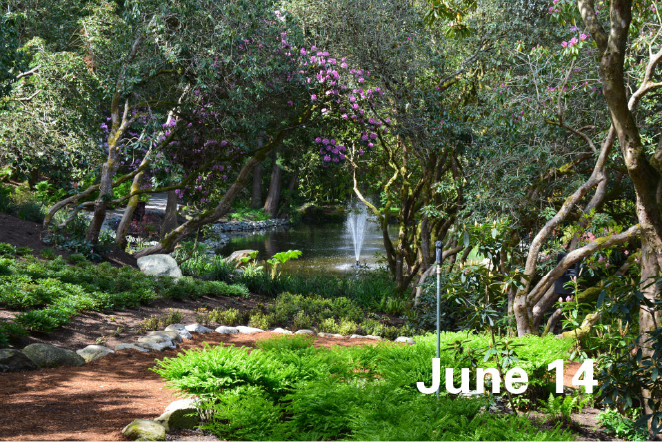 June 14