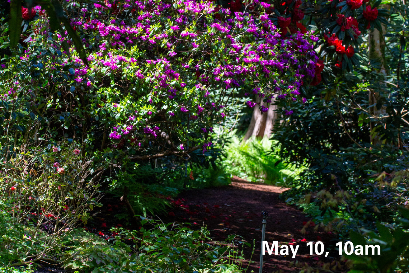 May 10, 10am - Admission