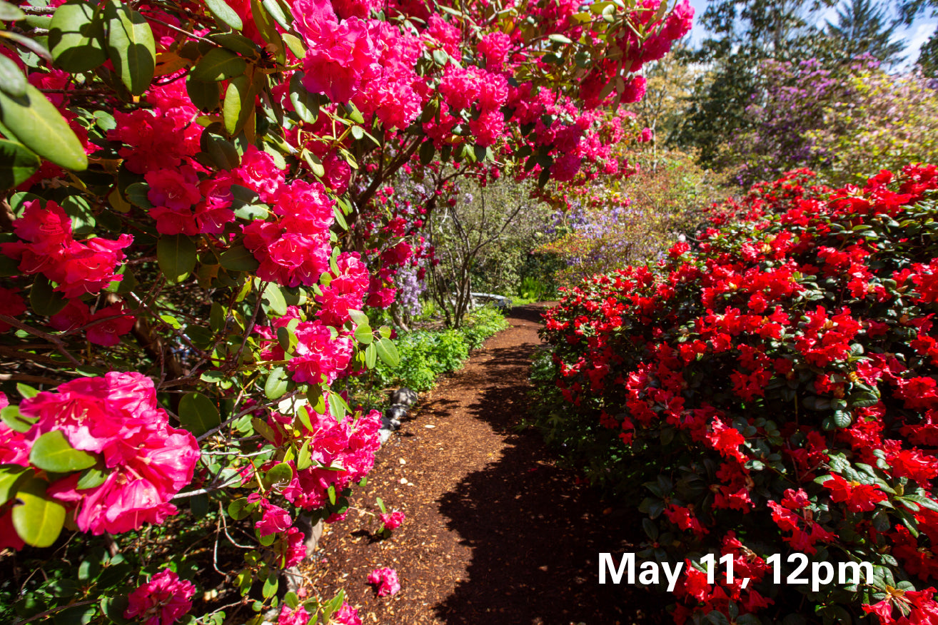May 11, 12pm - Admission