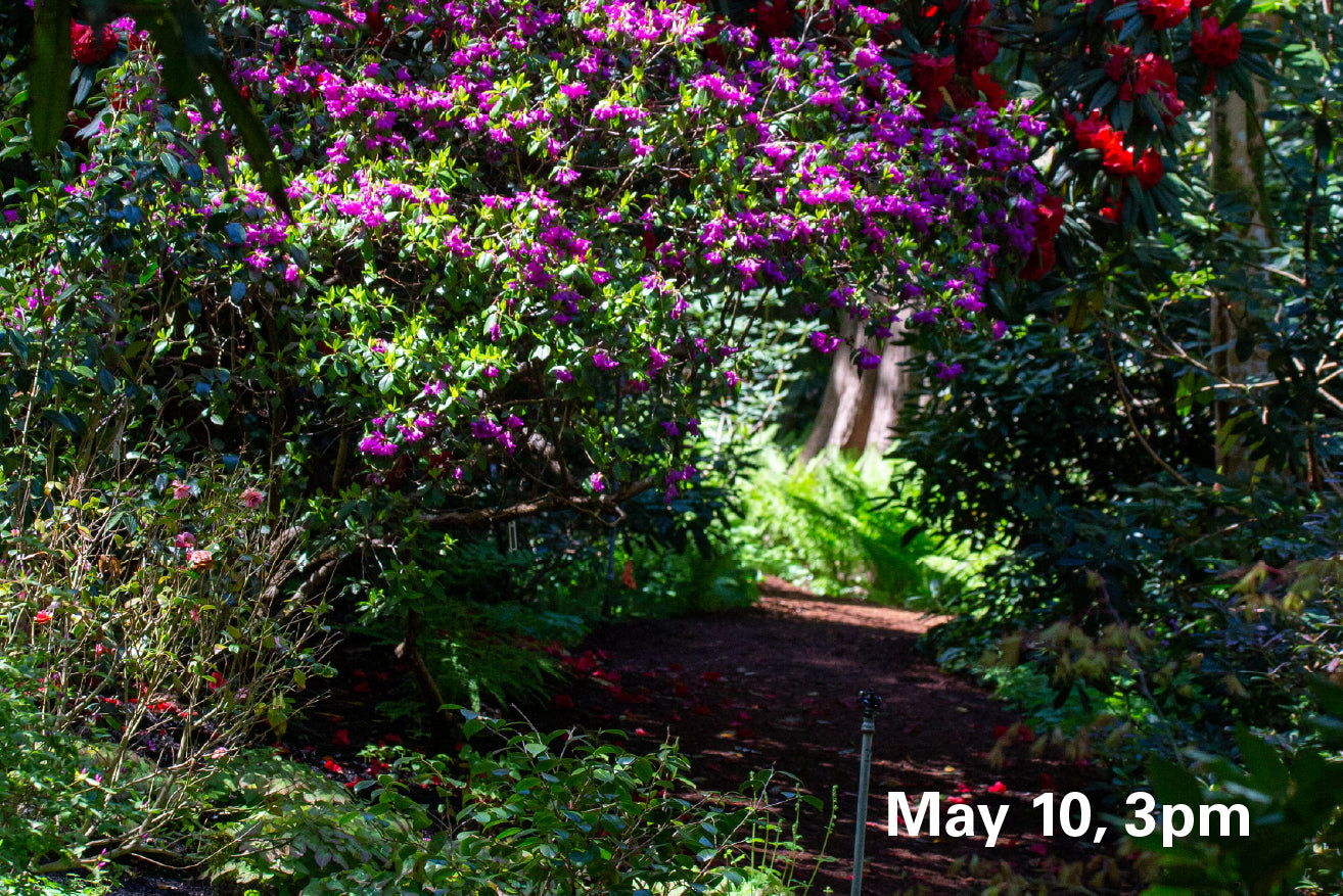 May 10, 3pm - Admission
